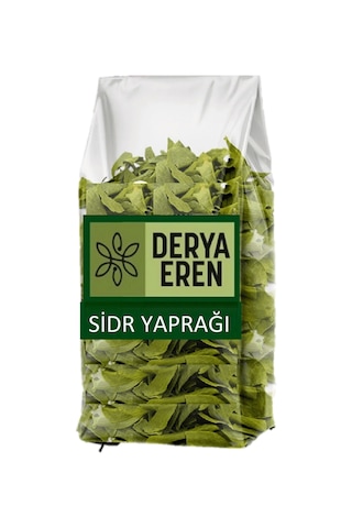Sidr Yaprağı Zizyphus Spina , Arabistan Kirazı Yaprağı, 1 Kg, Derya Eren