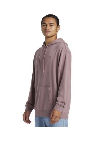 Quiksilver Salt Water Hoodie Erkek Sweatshirt Mor