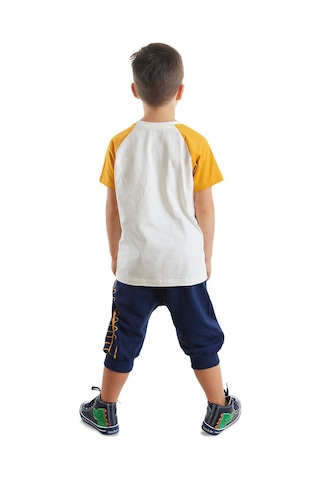 Denokids Roarsome Erkek Çocuk T-shirt Kapri Şort Takım Çok Renkli