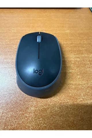Logitech M171 910-004424 Siyah Optik Kablosuz Mouse