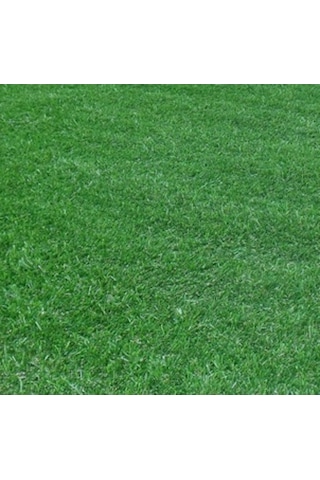 Çim Coşturan 2 KG ( 100M2 Için )