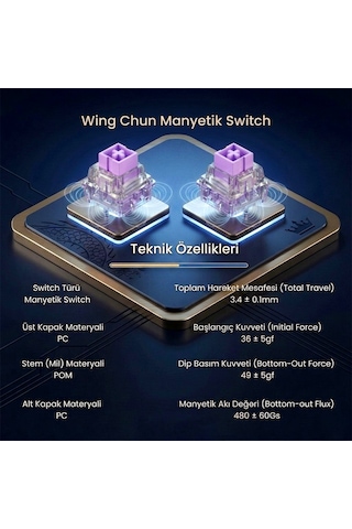 Aula Leobog Wing Chun Manyetik Switch 20 Adet