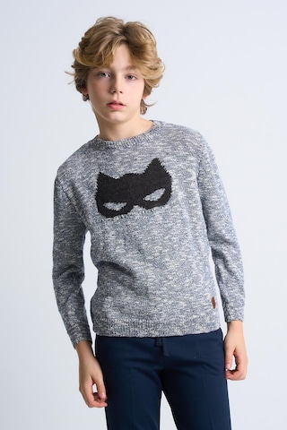 Alexandergardı Desenli Triko Çocuk Kazak Mavi