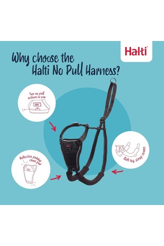 No Pull Yemek Takımı Ve Antrenman Tasması Kombi Paket, Stop Dog Pulling On Walks With Halti, Includes Medium Halti No