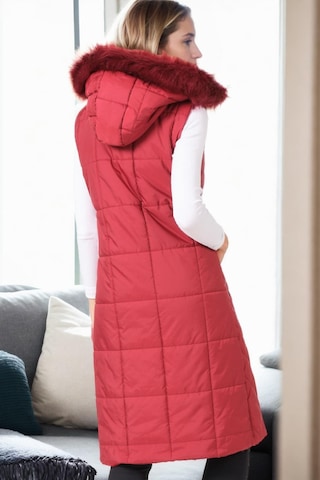 Z6718 Dewberry Bayan Yelek-bordo-1 Bordo-1