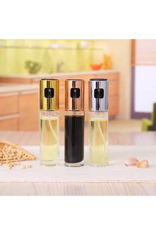 Hfambition Günlük Kullanıma Uygun Cam Ve Paslanmaz Çelik Sprey Yağ Şişesi - Sağlıklı Pişirme Ve Barbekü İçin 100ml Uzay Gümüşü Çok Renkli