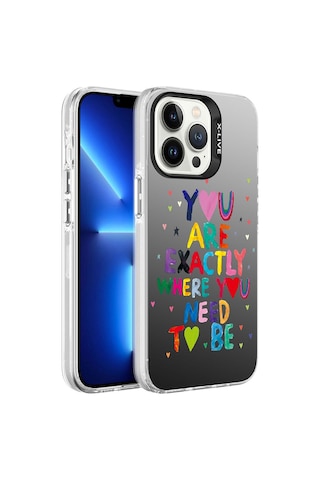 Apple iPhone Uyumlu 13 Pro Desenli Khl Silver Sert Kılıf you