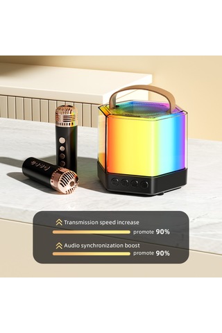 Skycıty Kablosuz Karaoke Ses Sistemi, İki Mikrofonlu