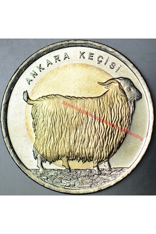 Ankara Keçisi 1 Lira 2015 Hatıra. Çil Kondisyon.