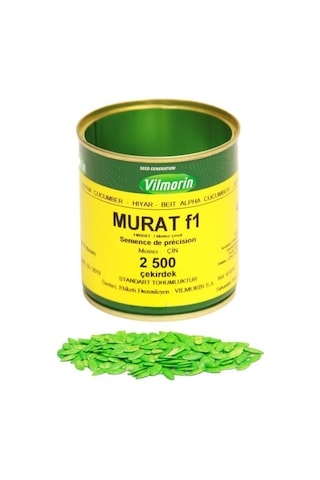 Murat F1 2500 Çk Hibrit Oturak Hıyar Vilmorin