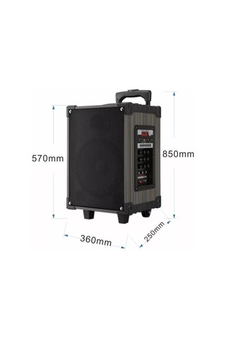 12 Inç Bluetooth Hoparlör 2 Adet Kablosuz Mikrofonlu Karaoke Bass Kabin Anfi Gitar Girişli