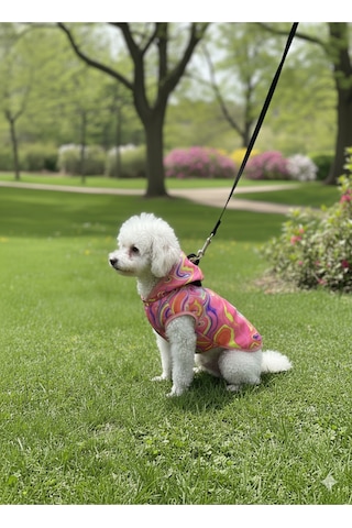 Patilinka Kedi Köpek Kışlık Kıyafet Gökkuşağı Pembe Yağmurluk
