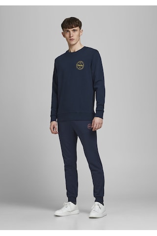 Jack & Jones Lastikli Paça Lacivert Erkek Eşofman Altı 12165322