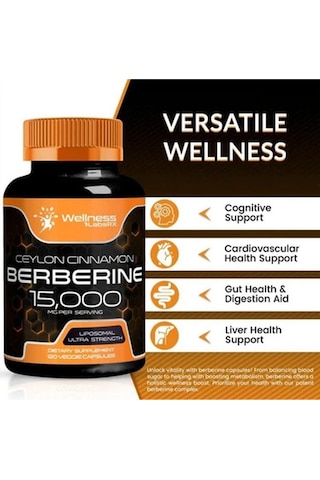Wellnees Labs Liposomal Berberine + Ceylon Cinnamon+turmeric + Ginseng + Ginkgo Biloba 15,000mg 12