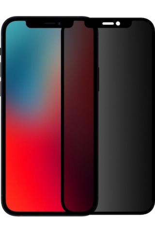Binano Ceramıc Matte Apple Uyumlu iPhone 12 Pro Max Ekran Koruy