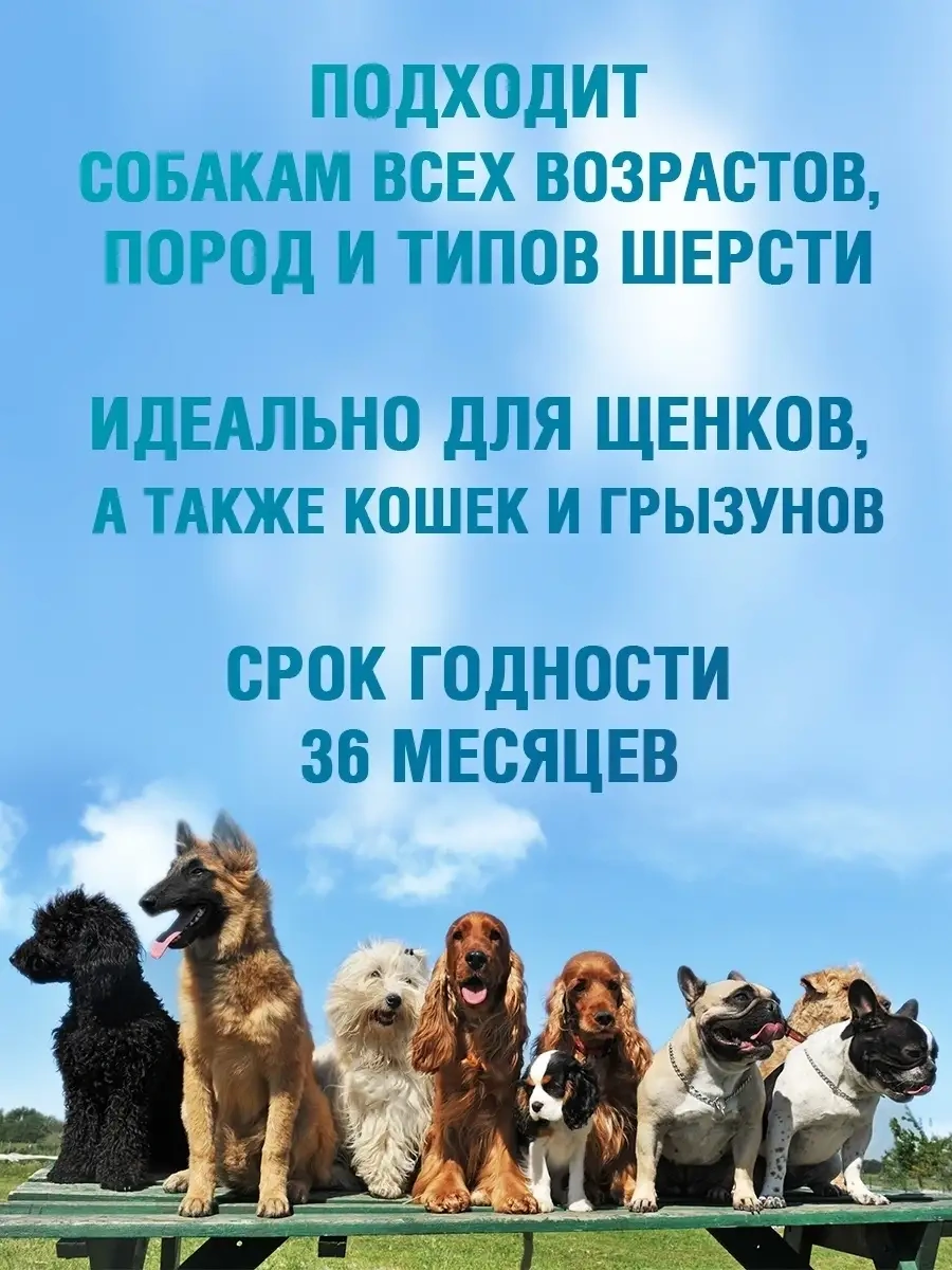 Ecozavr Köpekler İçin Sls/sles'siz Antibakteriyel Eko Şampuan 30273781