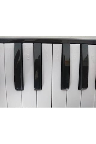 32 Tuşlu Melodika Bez Çantalı-Pembe.