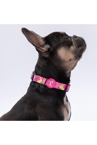 Rosea Camouflage Pembe Kamuflaj Desenli Köpek Boyun Tasması Ayarlanabilir Köpek Tasması
