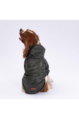 Pettrend Haki Mont Köpek Mont Köpek Kıyafeti Köpek Yağmurluğu