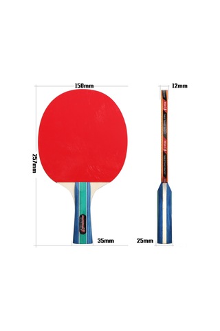 Ranyeek 4 Raket 8 Toplu Ping Pong Seti - Aile Grubu İçin Taşınabilir Spor Malzemesi, 7 Katman Ahşap Raketler Ve Taşıma Çantası