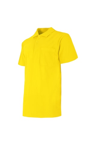 Baran Işık Lakos Polo Yaka Tshirt