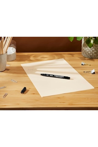 Pentel S20p-1a 0.1 Mm Fiber Uçlu Yazı Kalemi - İnce Uç - Poıntlıner