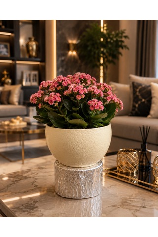 Dekoratif Devekuşu Yumurtası Saksı