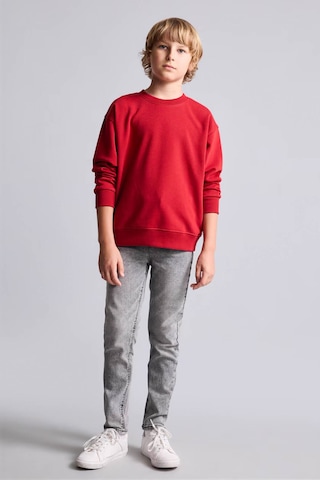 Defacto Bisiklet Yaka İçi Yumuşak Tüylü Basic Sweatshirt Erkek Çocuk I1419a826wnbr244 Kırmızı-br244