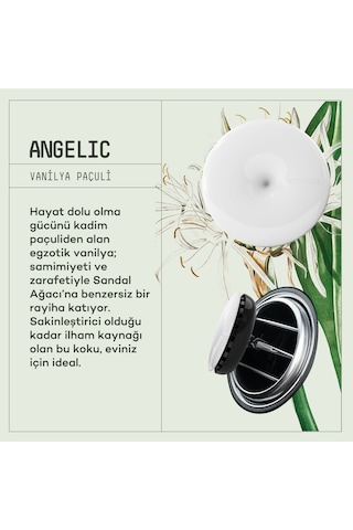 Vavana Araba Klima Kokusu, Spin Oto Kokusu Angelic & Hopeful Set