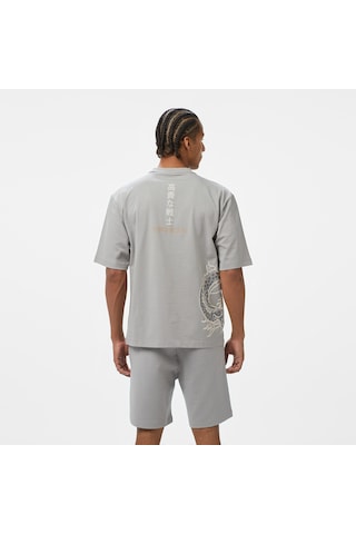 Unıted4 Classic Erkek Gri T-shirt Kasu 2800153