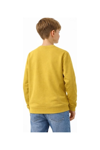 Baglan Erkek Çocuk Sweatshirt Bgl-st05228 Yeşil
