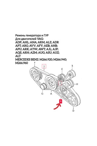 Zekkert Audı A4 A6 Passat B5 B5+ Alternatör Kayışı 262223766