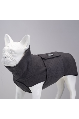 Ashen Grey Küçük, Orta Ve Büyük Irk Köpek Poları