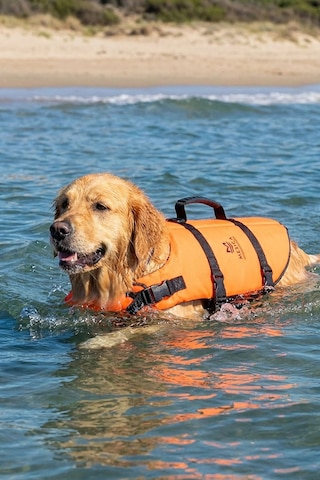 Köpek Can Yeleği Pawsaver Kolay Kaldırma Tutamaklı