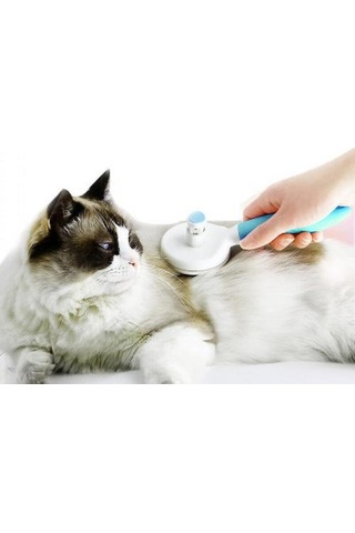 Pet Tarak Kedi Fırça Saç İlk Köpek Saç Fırçası Pet Kendinden Temizleme İğne Tarak Mavi