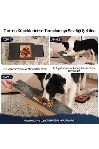 Reyo Köpekür Köpekler İçin Tırnak Törpüleyen Tırmalama Ve Eğitim Tahtası