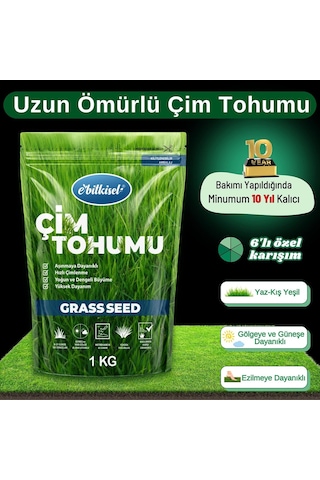 Ayrex Ebitkisel Çok Yıllık Çim Tohumu 1 Kg Uzun Ömürlü 6'li Karışım Gölge Ve Aşırı Güneşli Alan Uygun Ye
