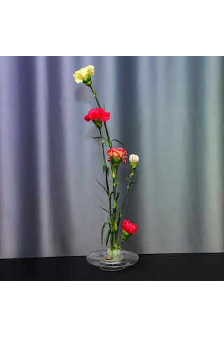Flora Design-balance Series Cam Vazo Şeffaf