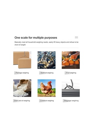 Funtree Treasure 40 Kg 10g Mini Dijital Terazi, Balıkçılık, Seyahat, Bagaj Kullanımı İçin