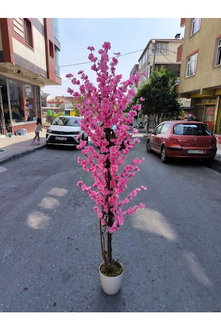 Rüzgar Yapay Çiçekçilik 175 Cm Beyaz Saksida Pembe Bahardali Ağacı Pembe