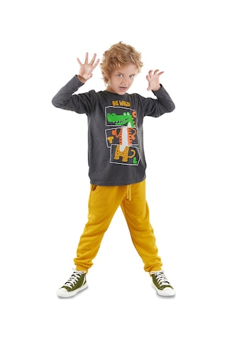 Denokids Be Wild Erkek Çocuk T-shirt Pantolon Takım Çok Renkli
