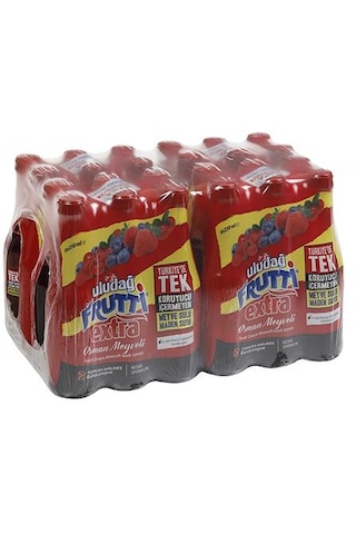 Uludağ Frutti Extra Orman Meyveli 250 Ml X 24 Adet