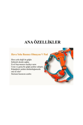 Interlaken H Koşum Takımı Ped Tipi Siyah Kırmızı Göğüs Tasması L Kırmızı - Siyah