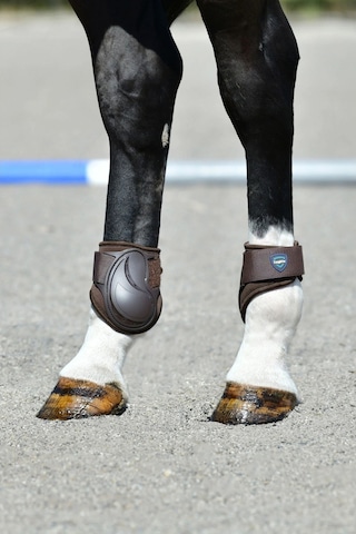 Weatherbeeta Tough-tec Essential Fetlock Botları, Arka Bacak Darbe Koruması At Koşu Ekipmanları