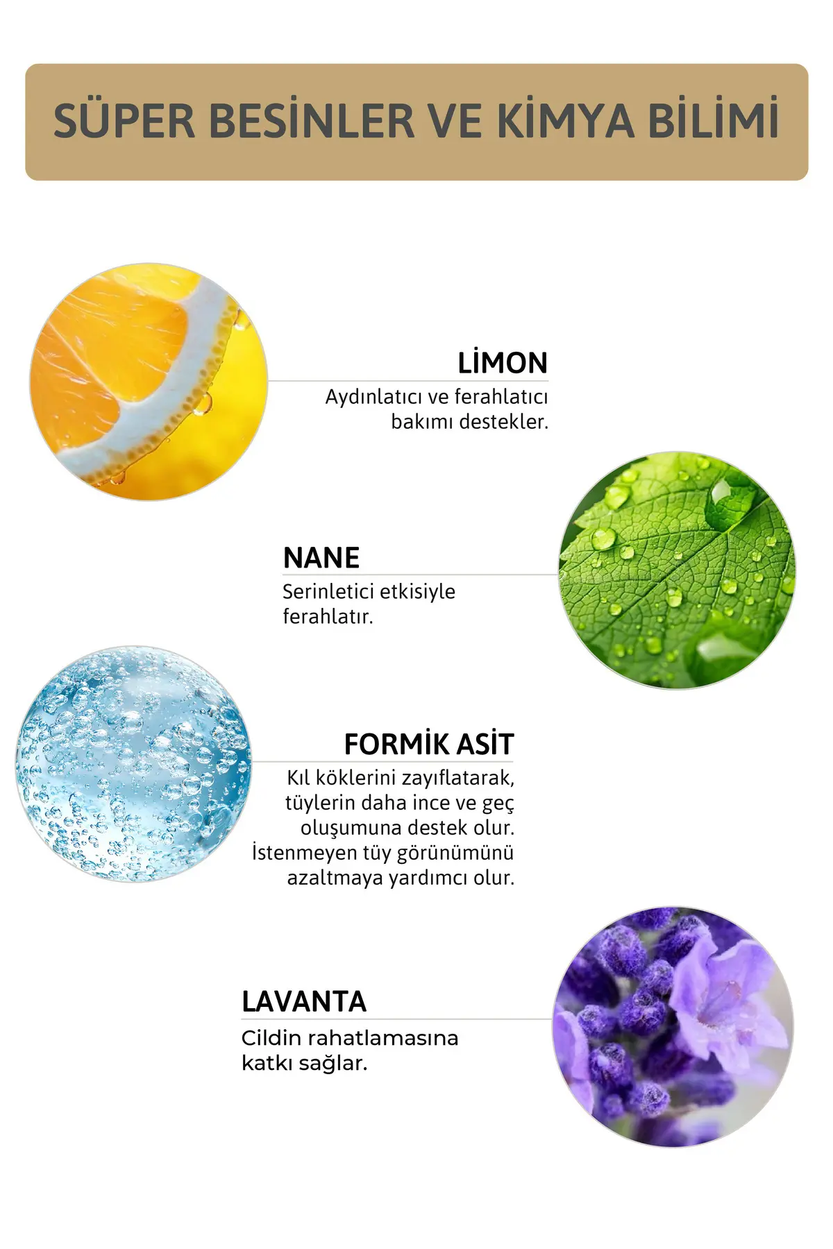 Karınca Yumurtası Bakım Yağı 20 ML