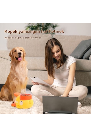 Soulader Akıllı Kedi Maması Kabı Otomatik Besleyici Eğitici Oyuncağı Evcil Hayvan Ödül Dağıtıcı