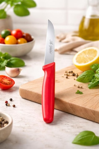 Basic Küt Ağızlı Sebze Meyve Bıçağı 8cm Metal Bıçak 18cm Komple Ölçü 1 Adet Kırmızı Çok Renkli