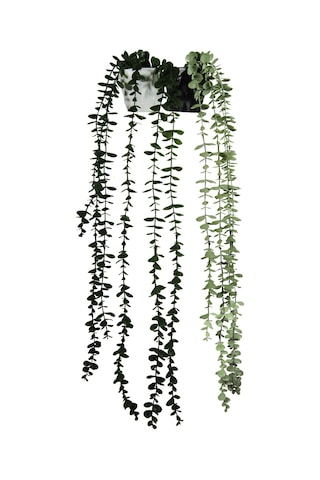 Yapay Çiçek DIY Elmas Saksı İçerisinde Sarkan Okaliptus 2'li Set Çok Renkli