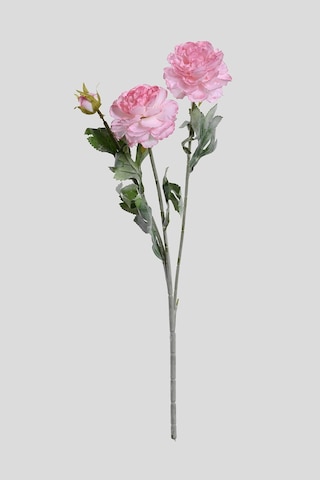 Pembe Yapay Ranunculus Şakayık Çiçeği 3 Dallı Lüx İpeksi Dokulu 50 Cm