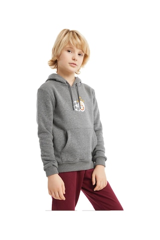 Gs Şampiyonlar Ligi Ucl Hoodie 230613k Gri